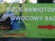 Foto 32483 - Wadysawowo - Pole namiotowe Owocowy Sad